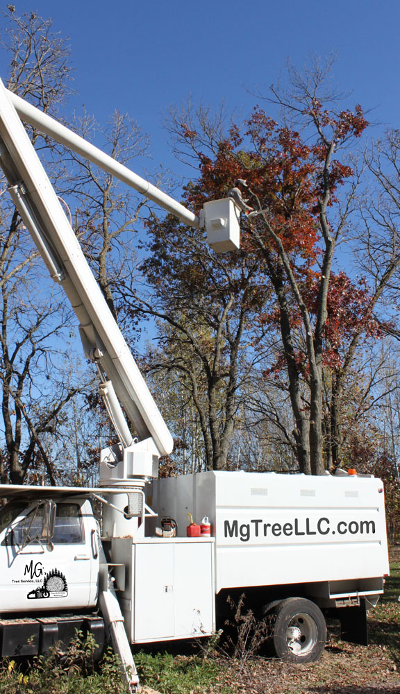 tree service